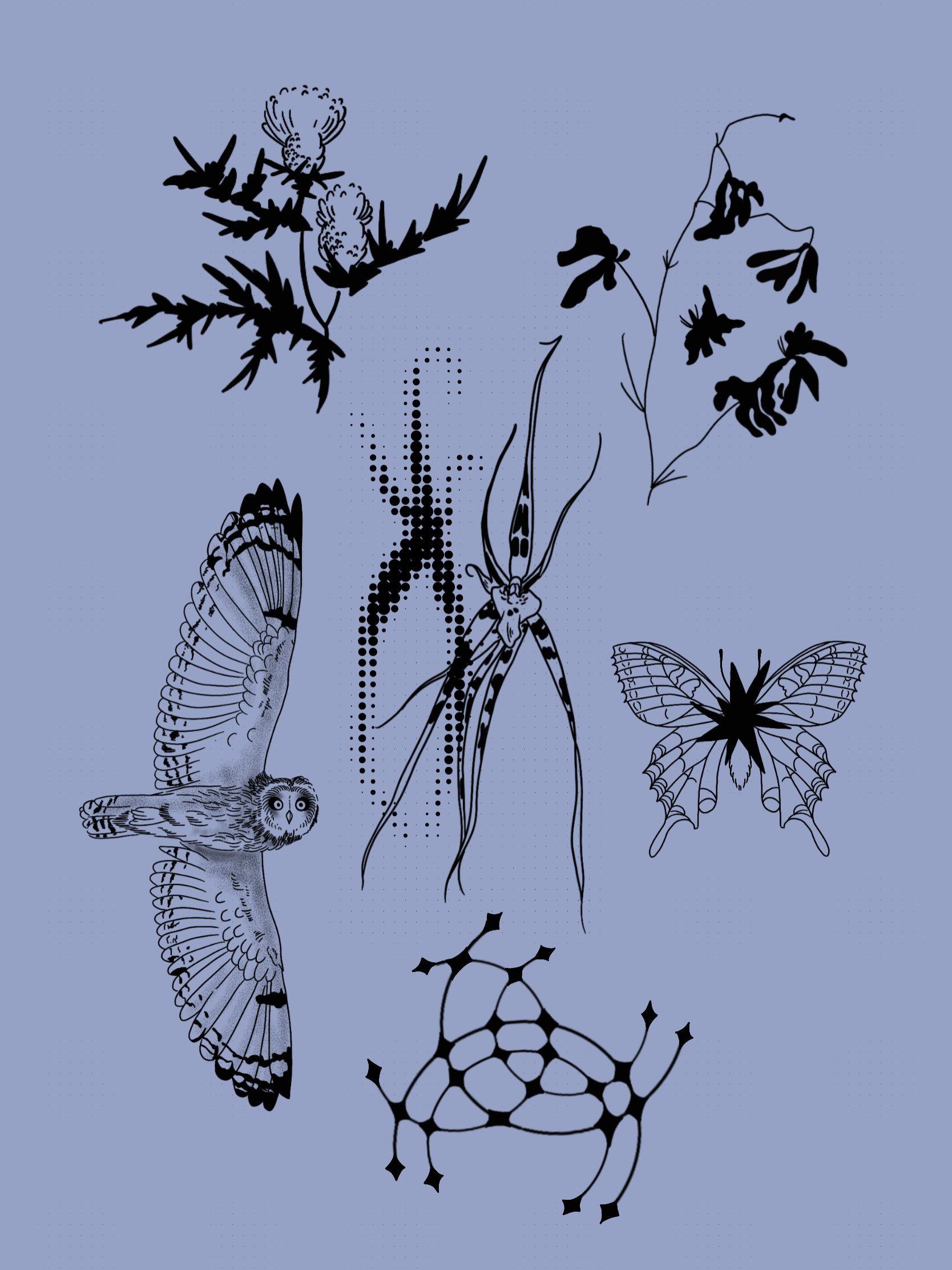 Flash sheet on blue: an owl in flight, a thistle, a moth and a knotted figure