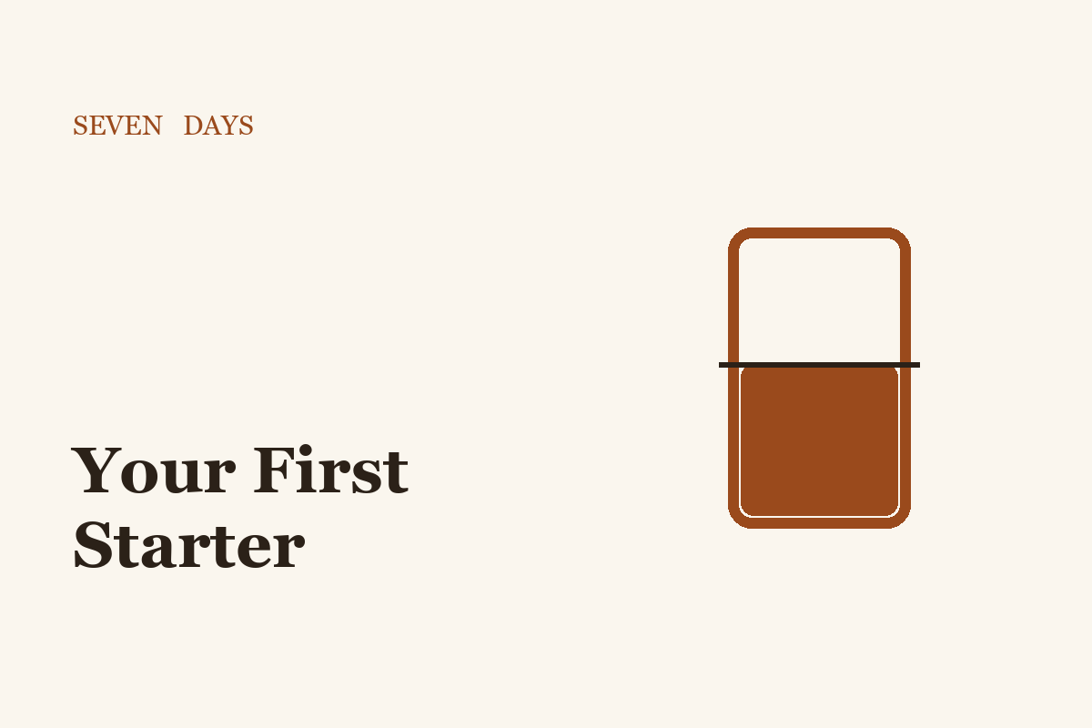 Dried starter · 20 g