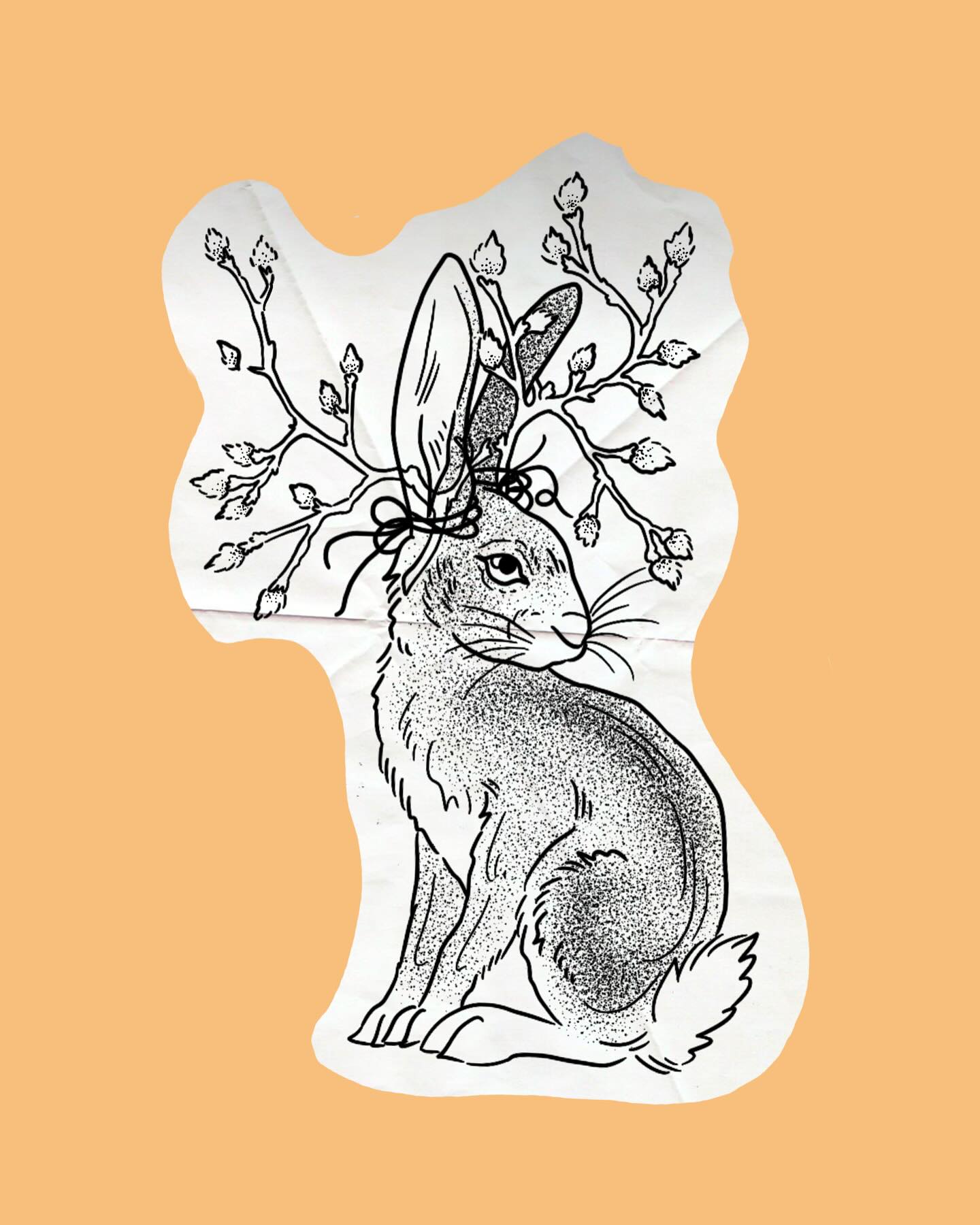 Hare